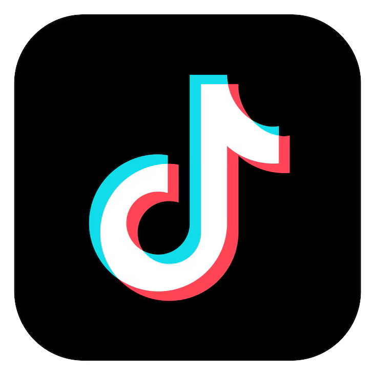 TikTok Logo